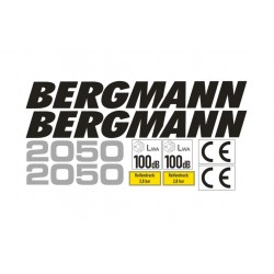 BERGMANN 2050