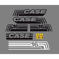 Case 16